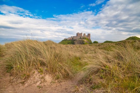 Dune landscape in front of Bamburgh Castle