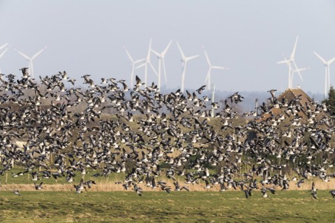 Wind turbines