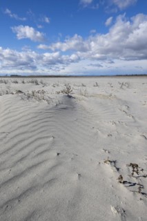 Sand dunes