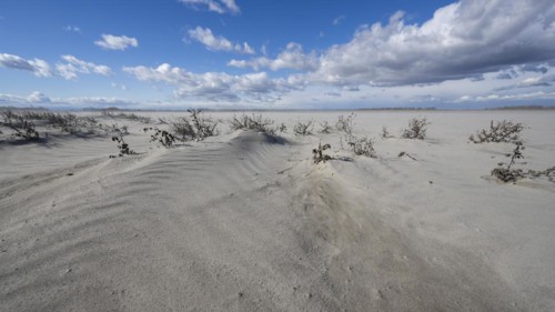 Sand dunes