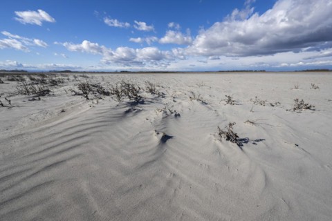 Sand dunes