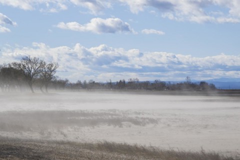 Wind drift