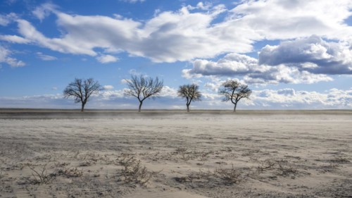 Wind drift