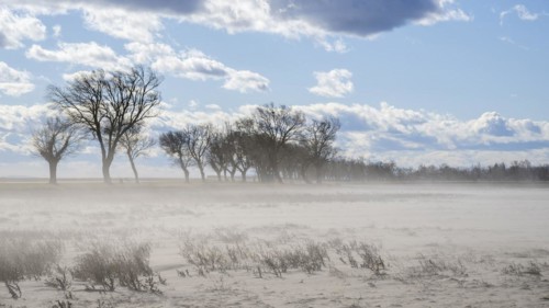 Wind drift