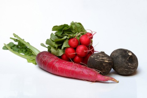 Radish