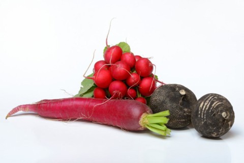 Radish