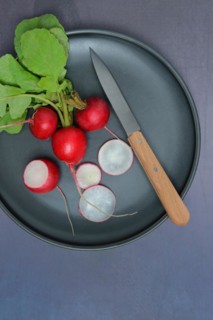 Radish bunch and radish slices on plate with knife