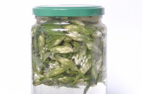 Wild garlic flower bud in lacto fermented