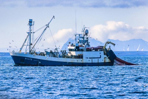 Russian Shrimp trawlers fishing in arctic waters outside a rocky coast