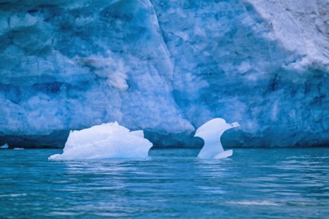 Melting ice floe in the water by a glacier in Svalbard