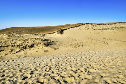 View of beautiful nordic dunes of Curonian spit