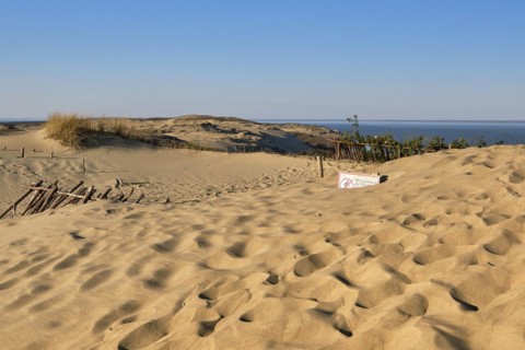 View of nordic dunes