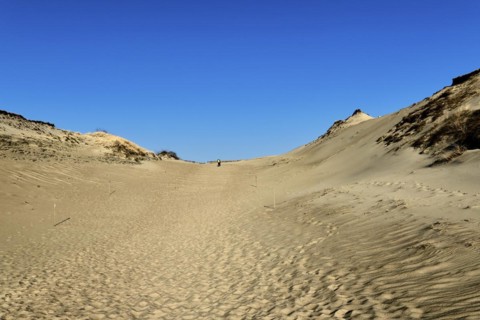 Nordic sand dunes