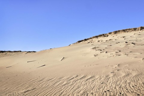 Nordic dunes
