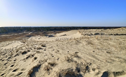 Nordic dunes