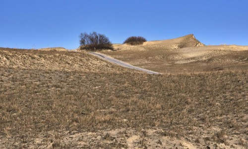 Nordic dunes and pathways