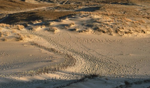 Early spring nature of nordic dunes