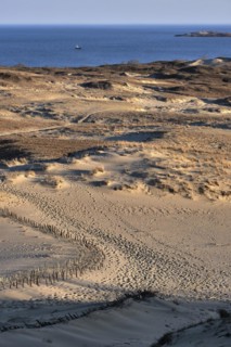 Early spring nature of nordic dunes