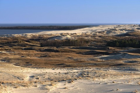 Early spring nature of nordic dunes