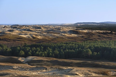 Early spring nature of nordic dunes