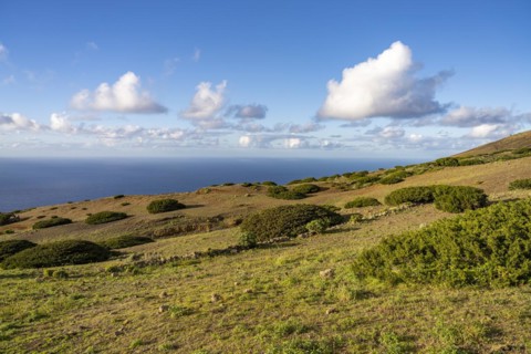 Landscape in the El Sabinar Biosphere Reserve