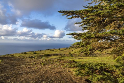Landscape in the El Sabinar Biosphere Reserve