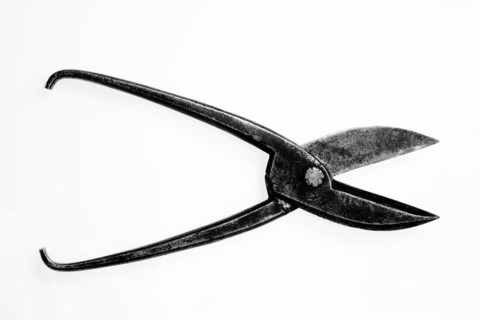 Tin snips of a toolmaker