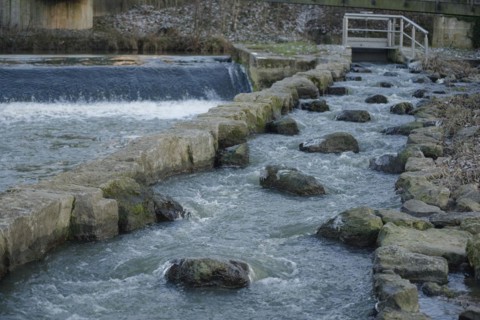 Fish ladder