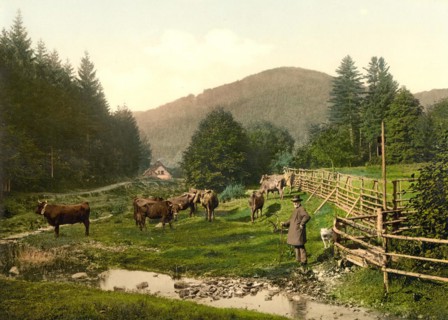 The forester's lodge in Bad Lauterberg in Harz