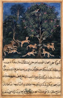 The mother parrot warns her young of the danger of playing with foxes