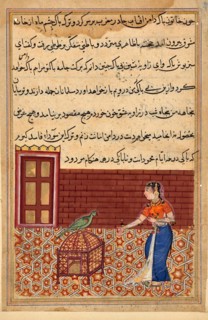 The parrot addresses Khujasta at the beginning of Fifty-first Night