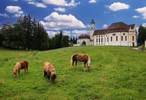 Pilgrimage Church of the Flagellated Saviour on the Wies