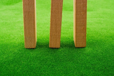 Wooden dominos on green grass