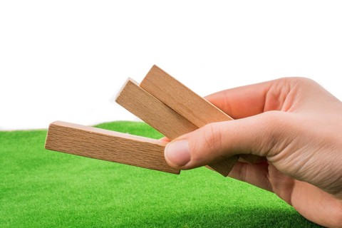 Wooden dominos on green grass
