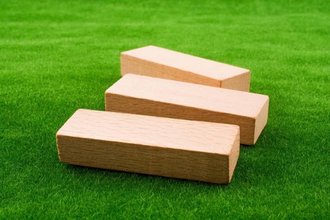 Wooden dominos on green grass