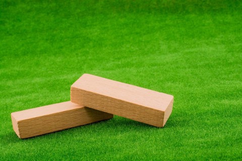 Wooden dominos on green grass