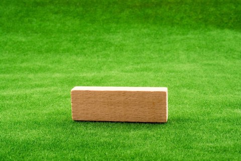 Wooden domino on green grass