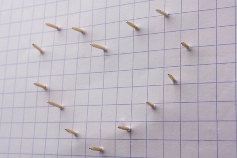 Nails make hole on paper forming a heart shape