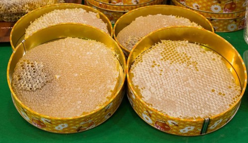 Sweet fresh honey in the sealed comb frame