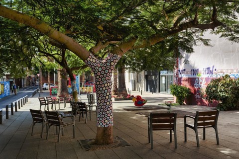 Chairs under tree in pedestrian zone