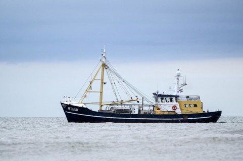 Shrimper