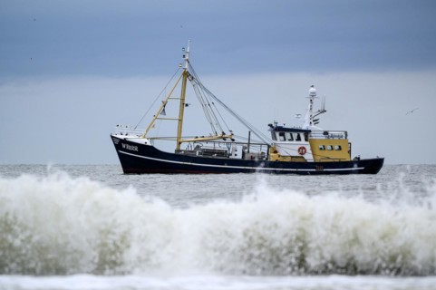 Shrimper