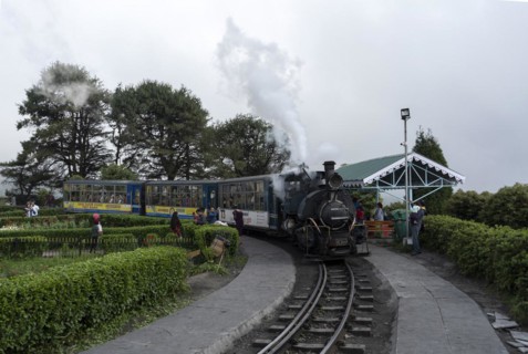DARJEELING