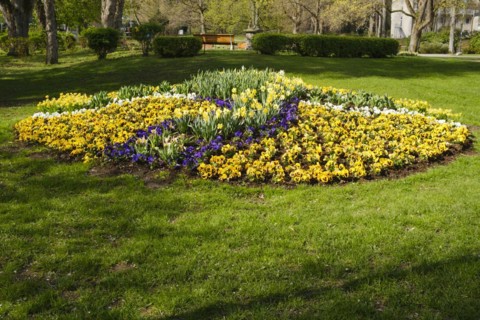 Flowerbed in the spa gardens