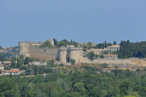 View from Rocher des Doms on historic Fort Saint-André with defence towers