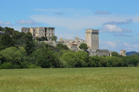 View of Romanesque monastery with tower Abbaye de Montmajour on the mountain