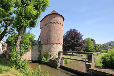 Tour de Husgenossen