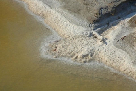 Salt deposit on the bank of the water