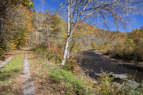 Martinton