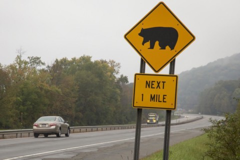Limestone
